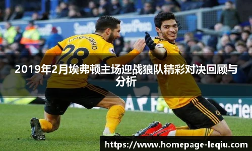 2019年2月埃弗顿主场迎战狼队精彩对决回顾与分析