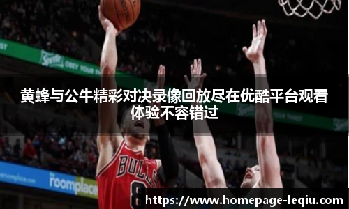 黄蜂与公牛精彩对决录像回放尽在优酷平台观看体验不容错过